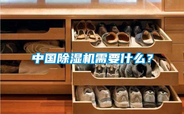 中國(guó)除濕機(jī)需要什么？