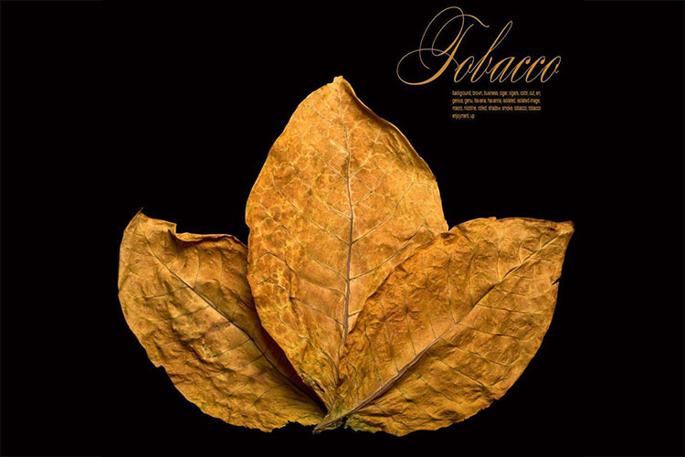 1538703443324388.jpg timg.jpg