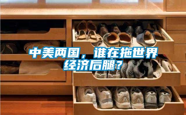 中美兩國,誰在拖世界經濟后腿?