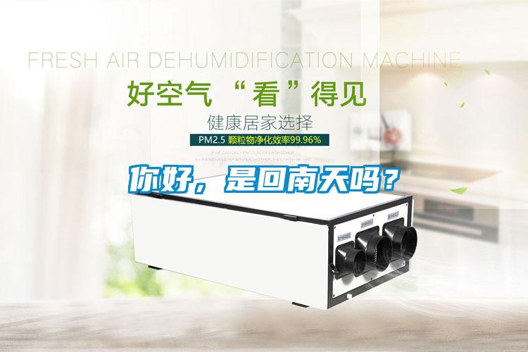 你好,是回南天嗎?