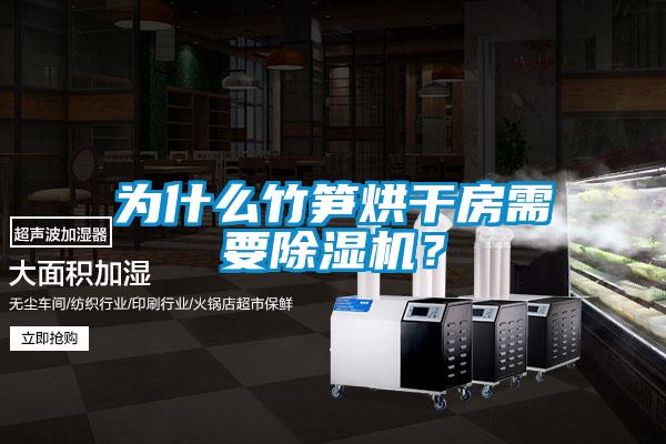 為什么竹筍烘干房需要除濕機?