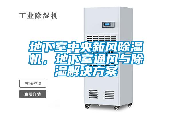 地下室中央新風除濕機，地下室通風與除濕解決方案
