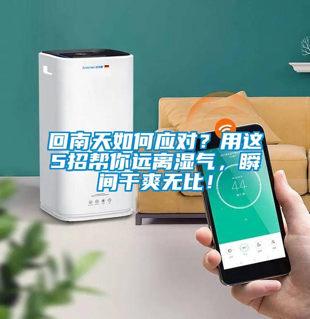 回南天如何應對？用這5招幫你遠離濕氣，瞬間干爽無比！