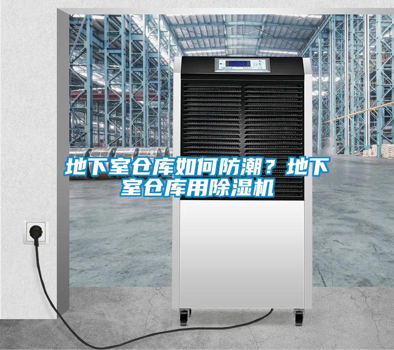 地下室倉庫如何防潮？地下室倉庫用除濕機(jī)