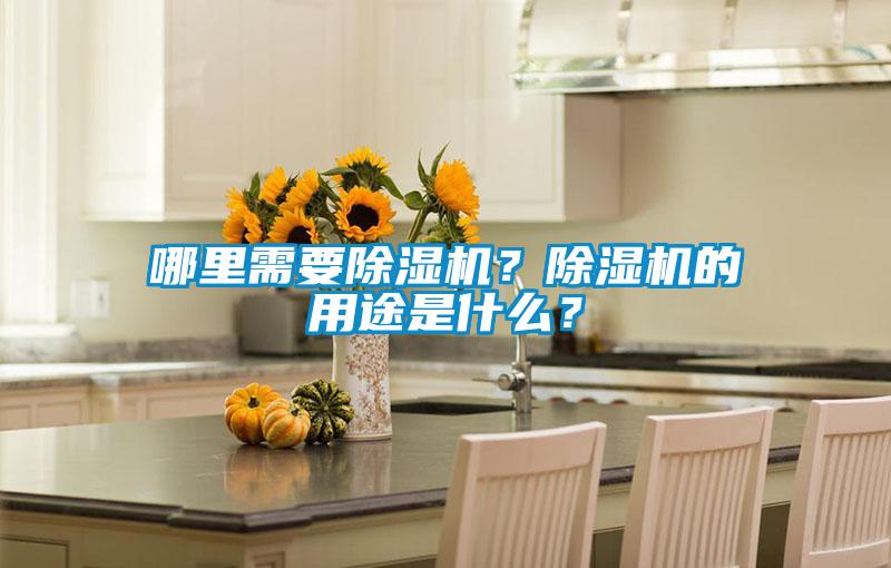 哪里需要除濕機?除濕機的用途是什么?