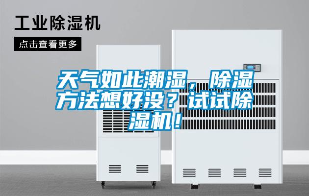 天氣如此潮濕，除濕方法想好沒(méi)？試試除濕機(jī)！