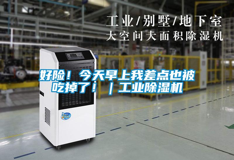 好險！今天早上我差點也被吃掉了?。I除濕機