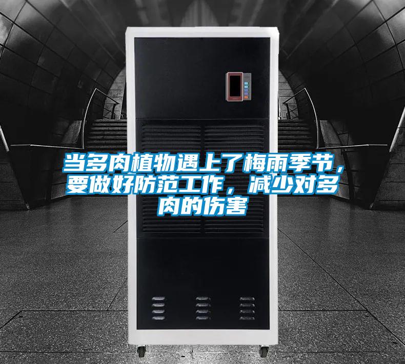 當(dāng)多肉植物遇上了梅雨季節(jié)，要做好防范工作，減少對多肉的傷害