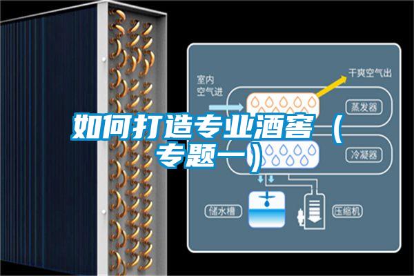 如何打造專(zhuān)業(yè)酒窖(專(zhuān)題一)