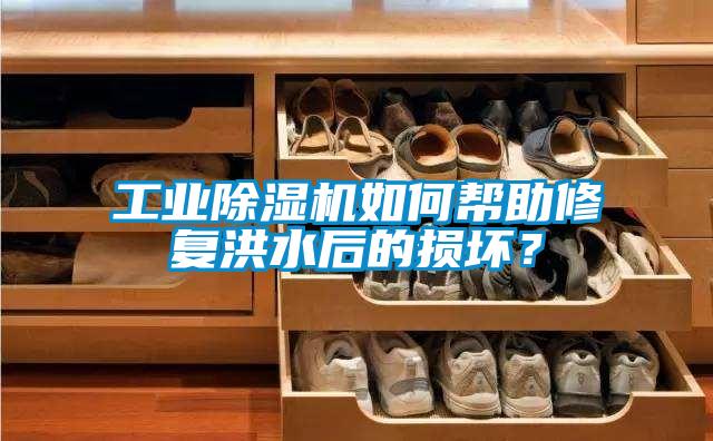 工業除濕機如何幫助修復洪水后的損壞?