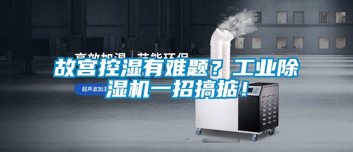 故宮控濕有難題？工業(yè)除濕機(jī)一招搞掂！