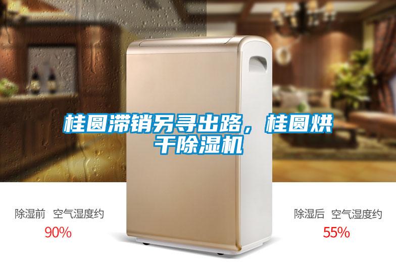 桂圓滯銷另尋出路，桂圓烘干除濕機