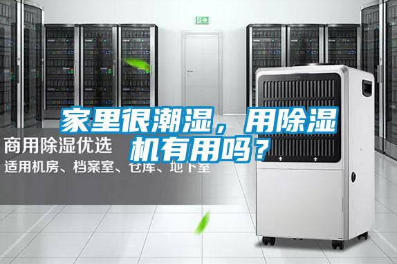 家里很潮濕，用除濕機(jī)有用嗎？