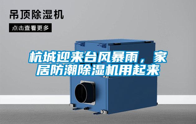 杭城迎來臺風暴雨，家居防潮除濕機用起來