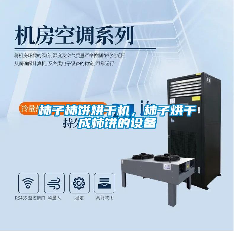 柿子柿餅烘干機，柿子烘干成柿餅的設備