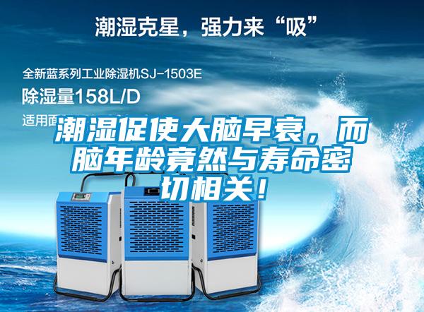 潮濕促使大腦早衰，而腦年齡竟然與壽命密切相關(guān)！