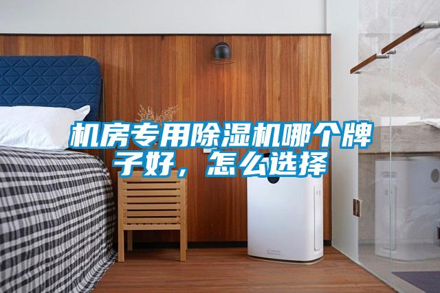 機(jī)房專用除濕機(jī)哪個(gè)牌子好，怎么選擇
