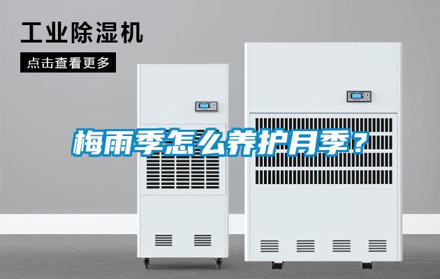 梅雨季怎么養(yǎng)護(hù)月季？