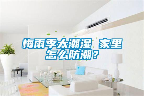 梅雨季太潮濕 家里怎么防潮？