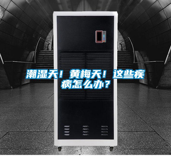 潮濕天！黃梅天！這些疾病怎么辦？