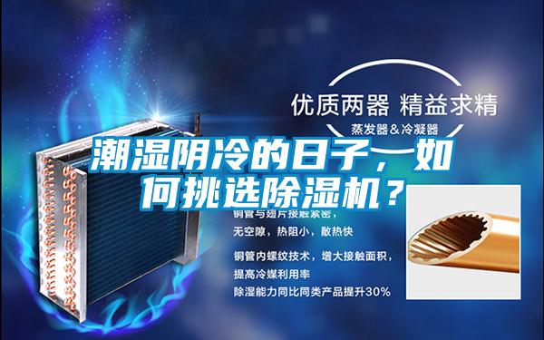 潮濕陰冷的日子,如何挑選除濕機(jī)?