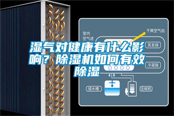 濕氣對健康有什么影響？除濕機如何有效除濕