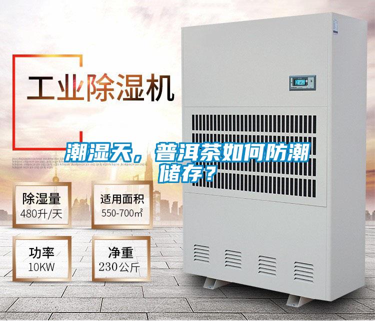 潮濕天，普洱茶如何防潮儲存？