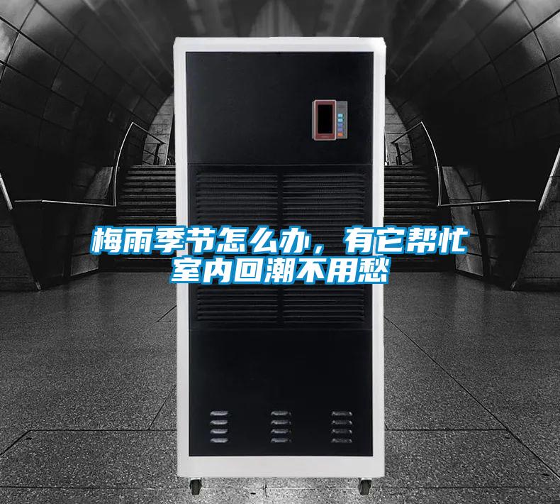梅雨季節(jié)怎么辦,有它幫忙室內(nèi)回潮不用愁