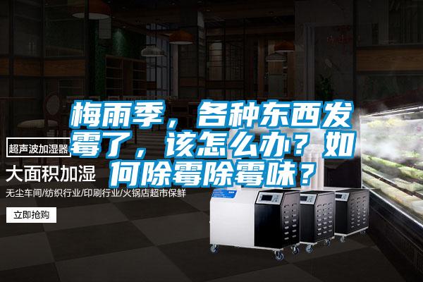 梅雨季,各種東西發霉了,該怎么辦?如何除霉除霉味?