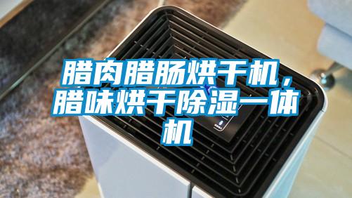 臘肉臘腸烘干機，臘味烘干除濕一體機