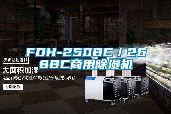 FDH-250BC/268BC商用除濕機(jī)