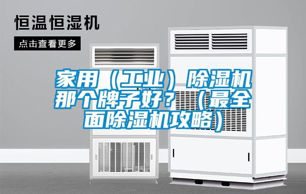 家用（工業）除濕機那個牌子好？（最全面除濕機攻略）