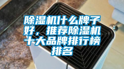 除濕機什么牌子好，推薦除濕機十大品牌排行榜排名
