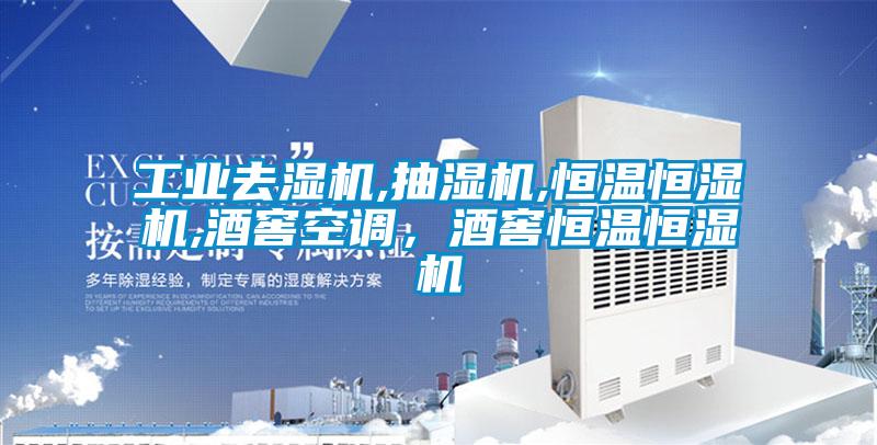 工業(yè)去濕機(jī),抽濕機(jī),恒溫恒濕機(jī),酒窖空調(diào),酒窖恒溫恒濕機(jī)