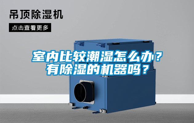 室內(nèi)比較潮濕怎么辦?有除濕的機(jī)器嗎?