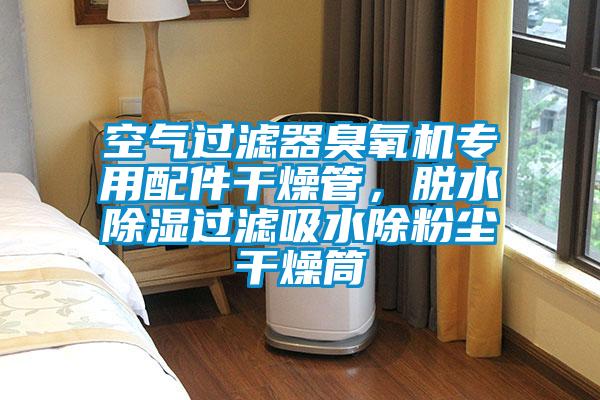 空氣過濾器臭氧機專用配件干燥管，脫水除濕過濾吸水除粉塵干燥筒