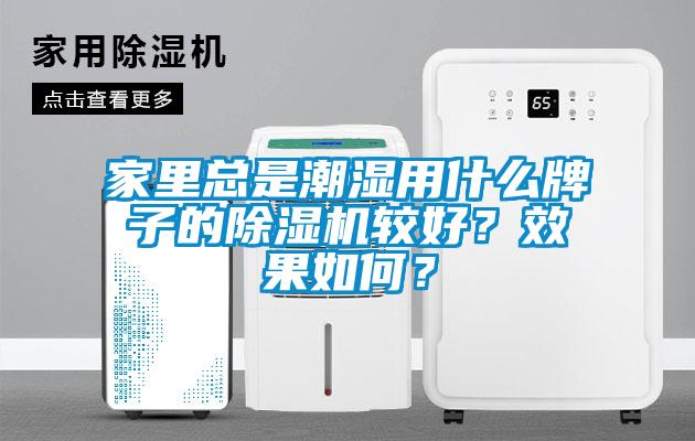家里總是潮濕用什么牌子的除濕機較好？效果如何？