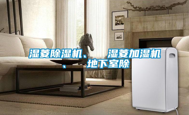 濕菱除濕機、  濕菱加濕機、  地下室除
