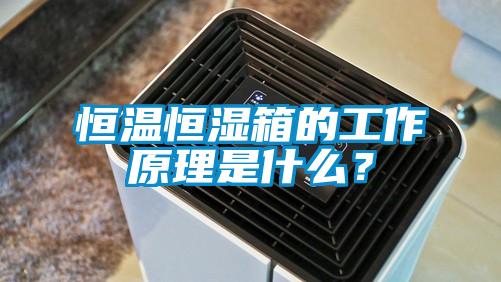 恒溫恒濕箱的工作原理是什么？