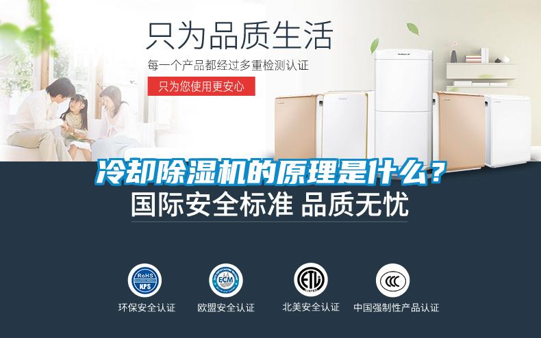 冷卻除濕機(jī)的原理是什么?