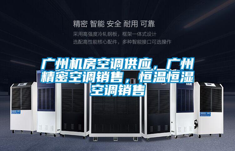 廣州機房空調(diào)供應(yīng)，廣州精密空調(diào)銷售，恒溫恒濕空調(diào)銷售