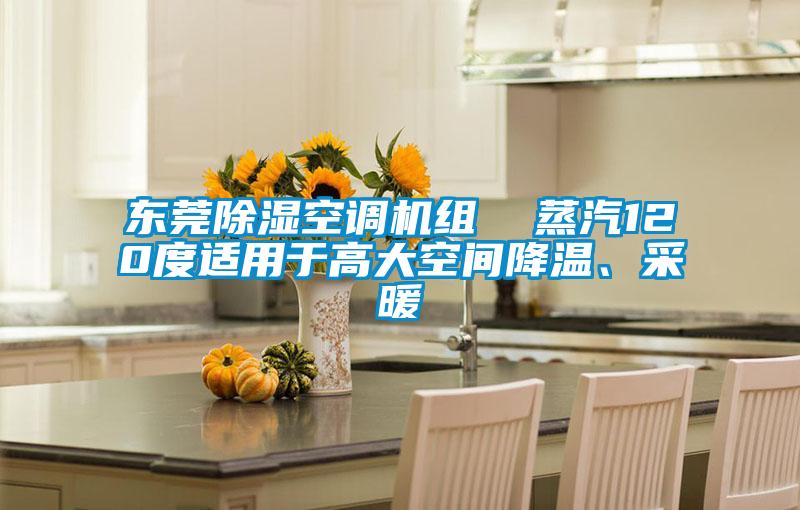東莞除濕空調機組  蒸汽120度適用于高大空間降溫、采暖