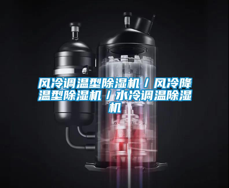 風冷調溫型除濕機/風冷降溫型除濕機/水冷調溫除濕機
