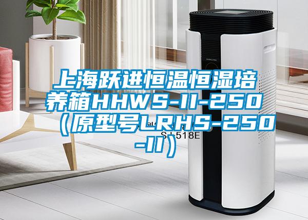 上海躍進恒溫恒濕培養箱HHWS-II-250(原型號LRHS-250-II)