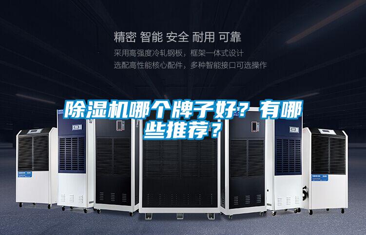 除濕機哪個牌子好?有哪些推薦?