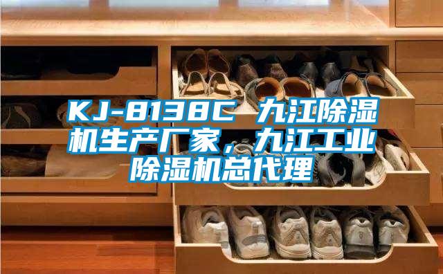 KJ-8138C 九江除濕機生產廠家，九江工業除濕機總代理