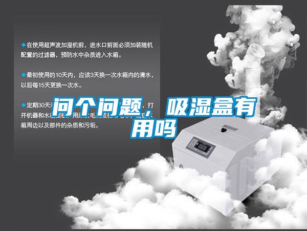 問個(gè)問題，吸濕盒有用嗎