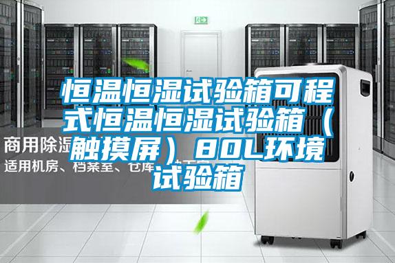 恒溫恒濕試驗箱可程式恒溫恒濕試驗箱(觸摸屏)80L環境試驗箱