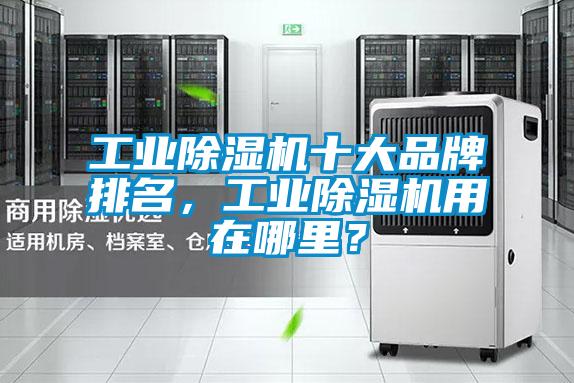 工業(yè)除濕機(jī)十大品牌排名,工業(yè)除濕機(jī)用在哪里?