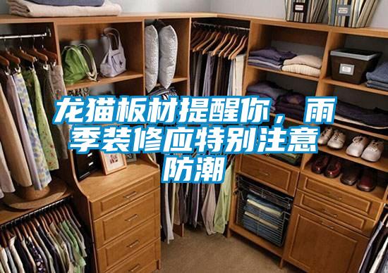 龍貓板材提醒你，雨季裝修應特別注意防潮